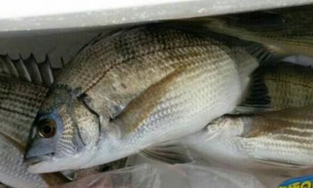 雨天後の海は…