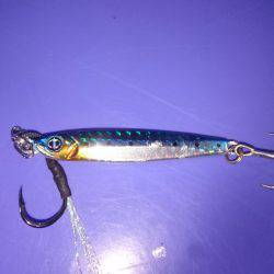 目の前にはサゴシジャンプ