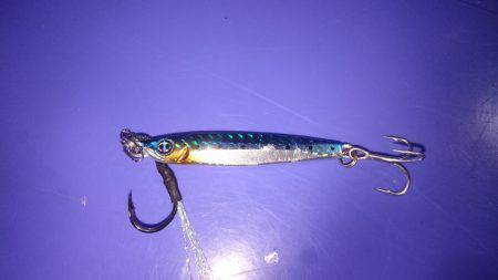 目の前にはサゴシジャンプ