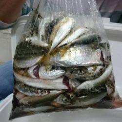 がんばりました