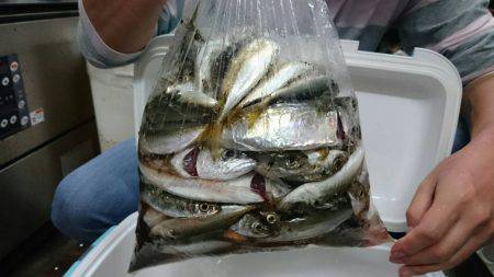 がんばりました