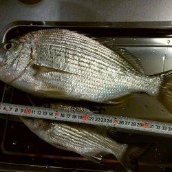 10月なのに暑い