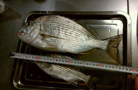 10月なのに暑い