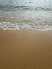 今日も渋かった