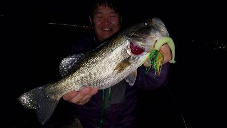 やっぱりバスも好き‼