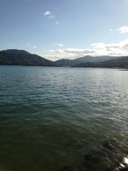 エギングのちアジング