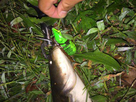 夜中の暇つぶし