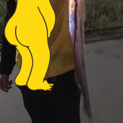 タチウオ初心者