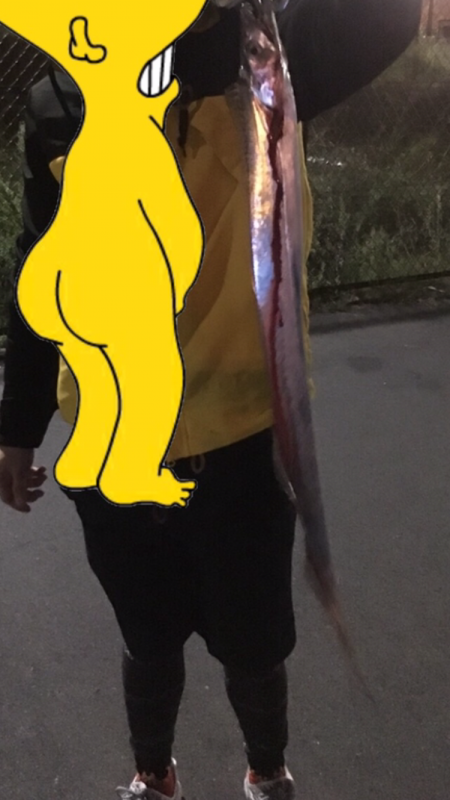 タチウオ初心者