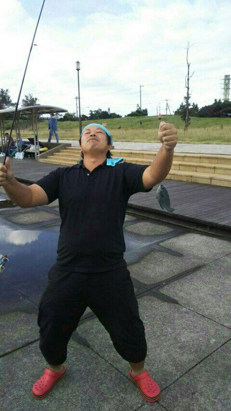 ヒイラギ、メジナ、ギンポ