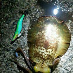 ちょっとマシ？