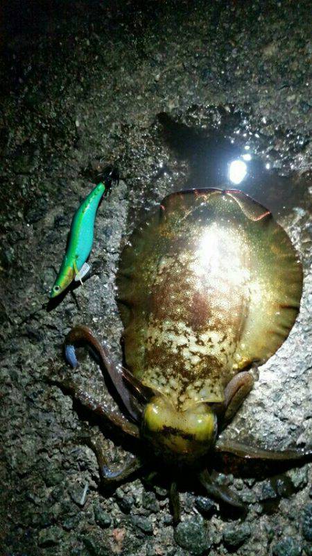 ちょっとマシ？