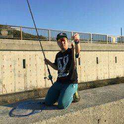 貝塚人工島でLSJ