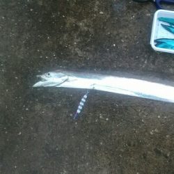 雨にも負けず♪