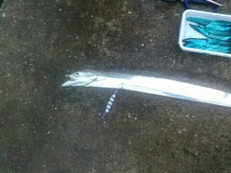 雨にも負けず♪