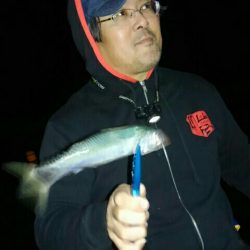 夕マヅメちょこっとアジング