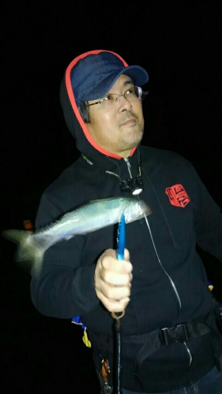 夕マヅメちょこっとアジング