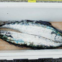 キャストゲーム