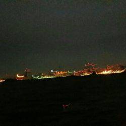 今日も来ちゃいました