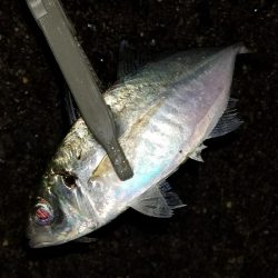 雨でも高活性！