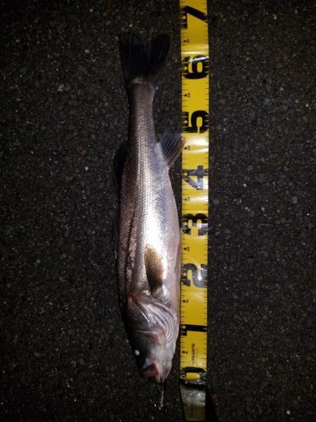 リアクションバイト