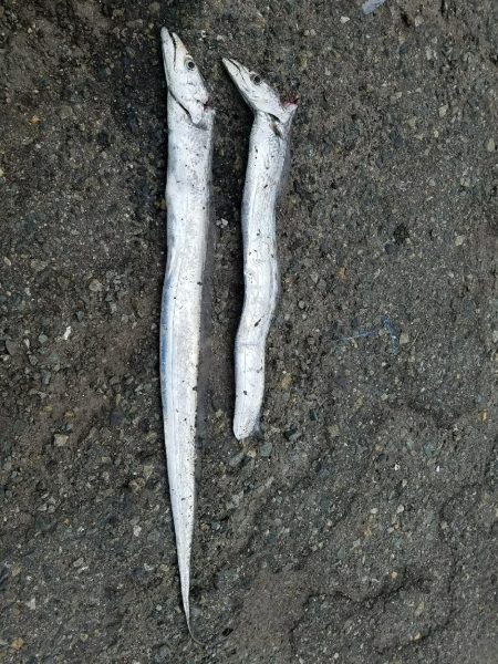 この釣り場もそろそろ終わりかなぁ