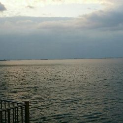 なんとかボーズは逃れたけど