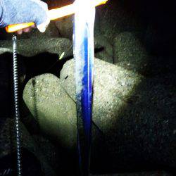 太刀魚たくさん釣れました(^-^)