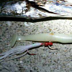 タチウオ時合いは早め