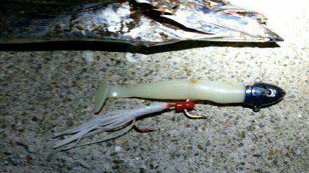 タチウオ時合いは早め