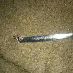 エギングロッド❗