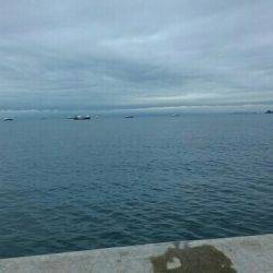 とりあえずの一本