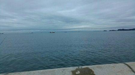 とりあえずの一本