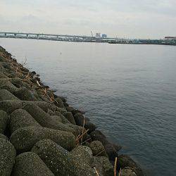 NEWロッド入魂完了♪