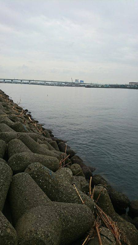 NEWロッド入魂完了♪