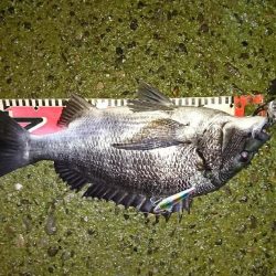 雨降りは素敵♪