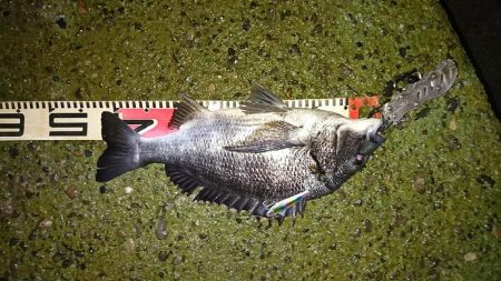 雨降りは素敵♪