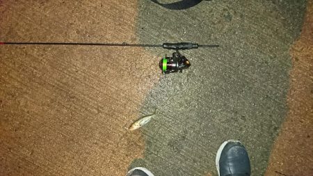 自作ロッドを初使用！