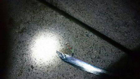 寄り道刀狩り！