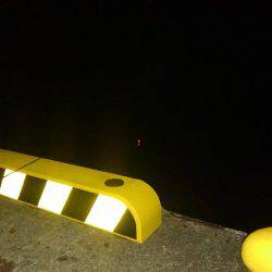 アジの泳がせ釣りでアオリ？！残念タチウオ！