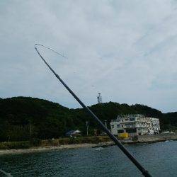 今日の大物は？？