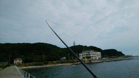 今日の大物は？？