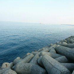 13時間の戦いの末！