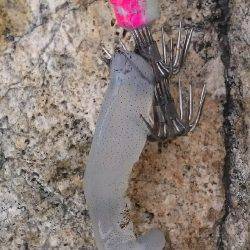 寒空でエギング