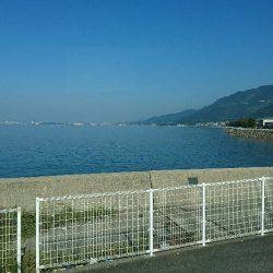 数年ぶりのエギング~