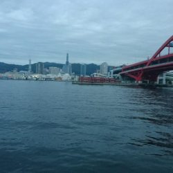 ハマチは何処にいった？