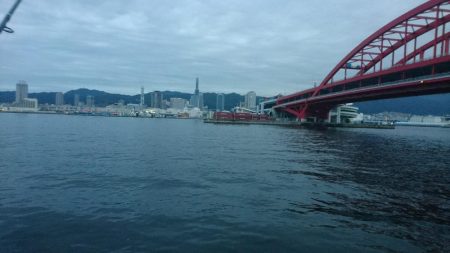 ハマチは何処にいった？