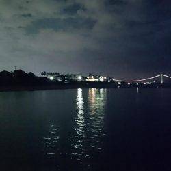 エギング好調❗