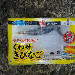 久しぶりに浮き釣り