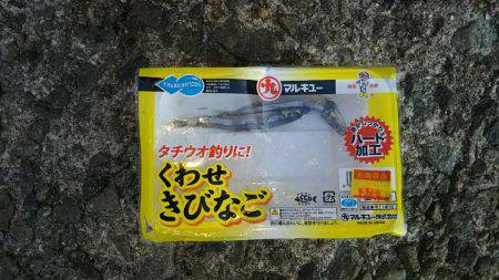 久しぶりに浮き釣り